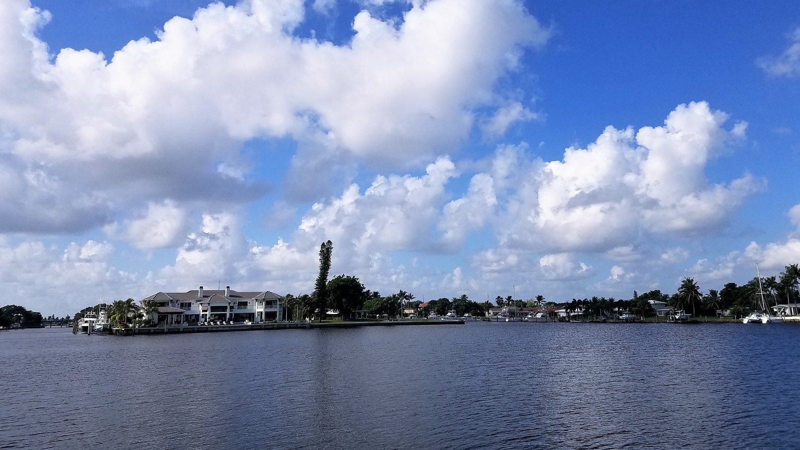 Lighthouse Point Palm City Homes for Sale
